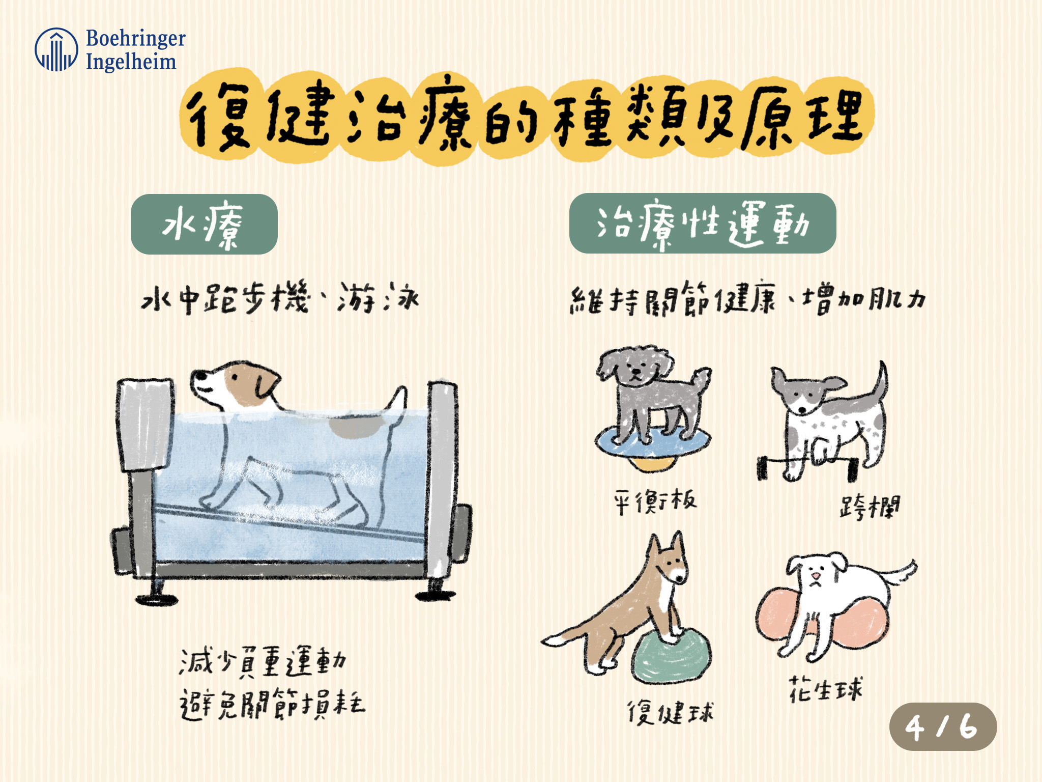 彩圖2 犬貓復健醫學 4