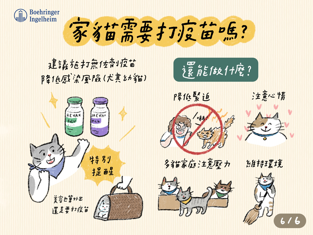 貓咪常見傳染病 6